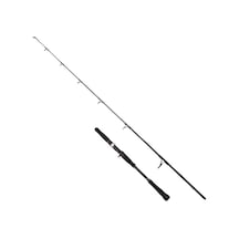 Albastar Novus C Kamış 100-300gr 165cm