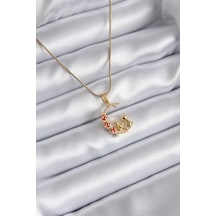 316l Çelik Gold Renk Hilal Kedi Model Zirkon Taşlı Detay Kadın Kolye 5886 Çok Renkli