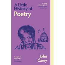 A Little History Of Poetry Yale University Press