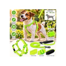 Doglife Köpek Göğüs + Fitil Gezdirme Tasması 6mm Çok Renkli