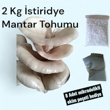 1 adet