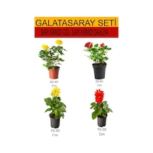 4'lü Takım Seti Sarı-kırmızı Gül+sarı- Kırmızı Dahliya Çiçeği