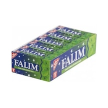 Falım Nane Aromalı Şekersiz Sakız 5 Li 20 Adet X 140 G