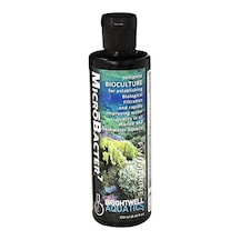 Brightwell Microbacter7 -Kültürü 250 ML