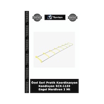 Özel Seri Pratik Koordinasyon Kondisyon Scx-1133 Engel Merdiven 3 Mt Diğer