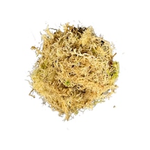 Sphagnum Yosunu 10 Lt