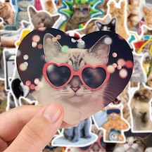 Sevimli Kediler Macbook Notebook Tablet Telefon Ajanda Laptop Defter Sticker Seti Diğer