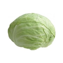Yerli Dolmalık Beyaz Top Lahanası Tohumu 10 GR Ort 2000 Ad
