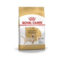Royal Canin Labrador Retreiver Yetişkin Köpek Maması 12 KG
