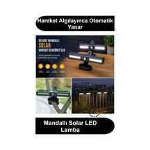 Çok Renkli