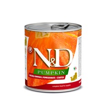 N&D Pumpkin Tavuklu Balkabaklı Narlı Başlangıç Konserve Yavru Köpek Maması 285 G