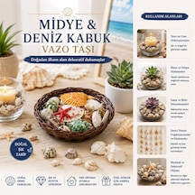 Yuvarlak Ahşap Sepet Renkli Mix Midye - Deniz Kabuk Vazo Taşı 50001 1