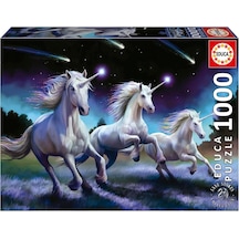 Educa 1000 Parça Kayan Yıldız Puzzle - 19919 - Shooting Stars Anne Stokes