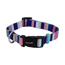 Köpek Boyun Tasması, Renkli Kalın Çizgiler, 48-70cm, 25mm Çok Renkli