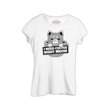 A Cat İn A Coffee Cup Beyaz Kadın Tshirt 001