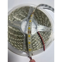 12v Mavi Şerit Led Günışığı 1