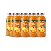 %100 Meyve Mango Dream 12x250ml
