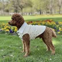 Kedi - Köpek İçi Polarlı Dışı Payetli Kışlık Kot Ceket - Mont - Yağmurluk - Yelek -kıyafet