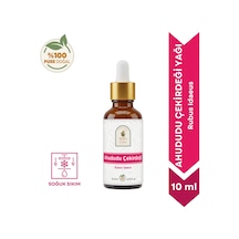 10 ML