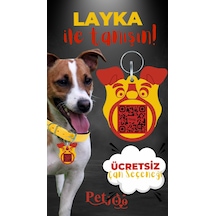 Petjoo 22.Layka Kırmızı-Sarı Qr'lı Köpek Künyesi