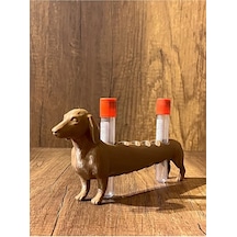 Köpek Laboratuvar Ve Kan Tüpü Standı