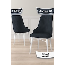 Canisa Neta Serisi, 1.sınıf Babyface Kumaş Sandalye, Beyaz Gürgen Ayak, 2 Adet Antrasit Sandalye 22neta01antr02byzz