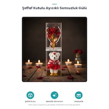 Şeffaf Kutulu Ayıcıklı Sonsuzluk Gülü Standart