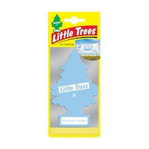 Car Freshner Asma Koku Yaz Esintisi
