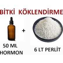 Bitki Köklendirme Hormonu ve Köklendirme Perliti Bir Arada
