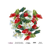 Cadence Evrensel Pirinç Dekopaj Kağıdı - Uc-039