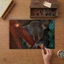 Dalda Sevimli Koala Tasarımı 240 Parça Ahşap Puzzle Ahşap Kutuda Mpy40036