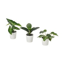 Ikea Fejka Saksılı Yapay Bitki, Yeşil, 3 Adet Yaprak