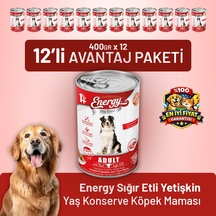 Energy Sığır Etli Yetişkin Yaş Köpek Maması 400 G - 12 Adet