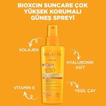 Sun Care Spf 50 Yüz Güneş Kremi 50 Ml Karma Yağlı Cilt Ve Vücut Güneş Spreyi 200 Ml