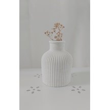 Bernami Vazo Pinterest Pampas Vazo Beyaz Diğer