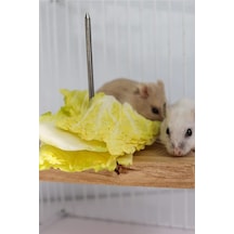 Çivili Meyve Sebze Asmalı Kuş, Hamster Asılı Tünek, Kuş Mama Tutucu, Doğal Ahşap Kuş Kafesi