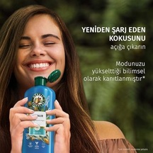 Herbal Essences Onarıcı Argan Yağı Saç Bakım Kremi 250ml
