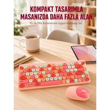 Diğer