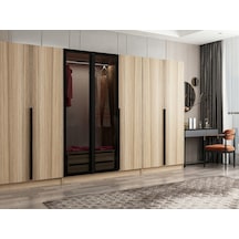 Kale Plus210 7 Kapaklı 2ç Dolap Dore Plus Dore Füme Cam
