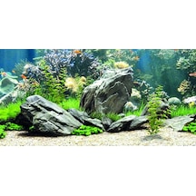 Kanki Pet Kp10552034 Akvaryum Arka Fon Yapıştırma 105 X 52 Cm