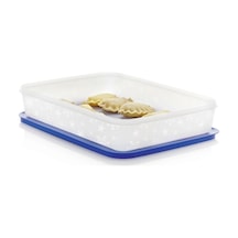 Tupperware Alaska 225 L Buzluk Saklama Kabı Asn N1140663