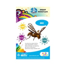 Ahşap Maket Arı Boya Ve Fırça