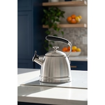 Teatime Paslanmaz Çelik Düdüklü Su Isıtıcısı İnox - 3 L Diğer