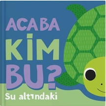 Acaba Kim Bu - Su Altındaki
