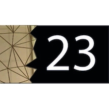 Dekoratif Aynalı Modern Kapı Numarası - Gold 23