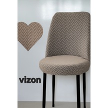 Vizon