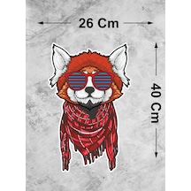 40x26 Cm