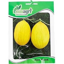 Sarı Kışlık Kavun Tohumu 10 Gr