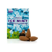 Ice Mint Ferahlatıcı Aromatik Kokulu Geri Akış Tütsü