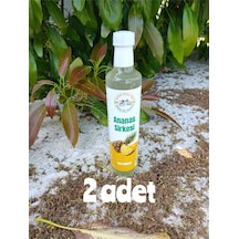 Ananas Sirkesi 2 500 Gr